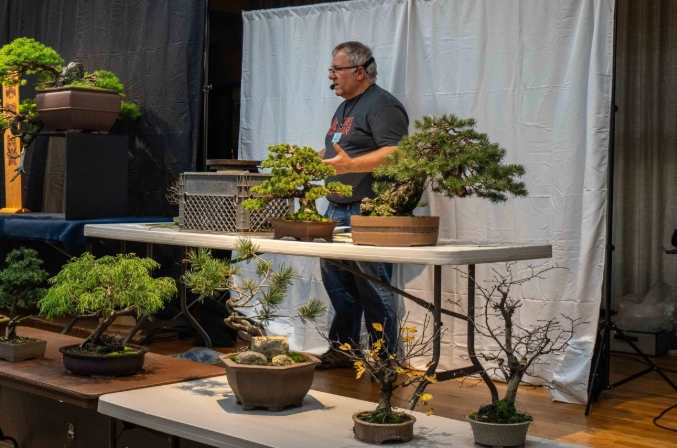 bonsai Portland Oregon