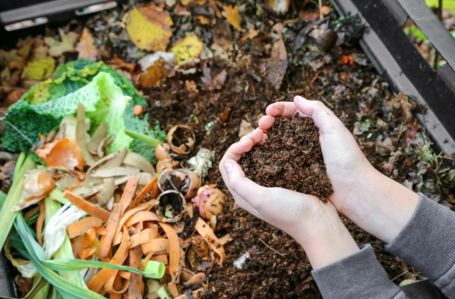 what is compost what is compost