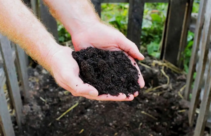 composting for beginners composting for beginners