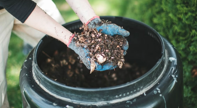 what is compost what is compost