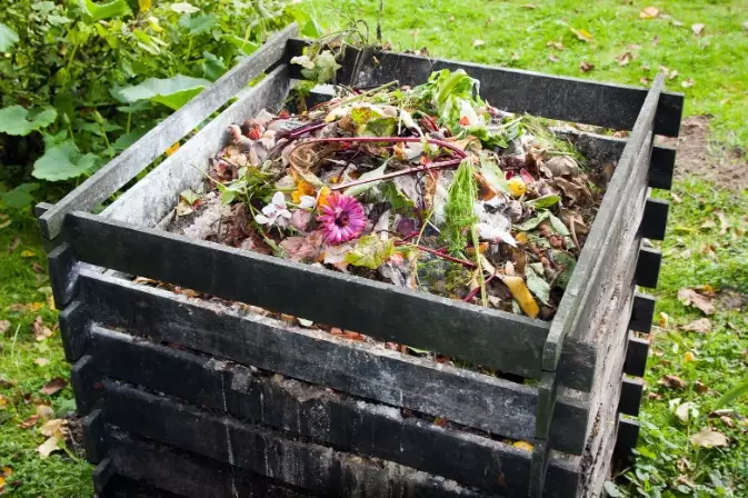 composting for beginners composting for beginners