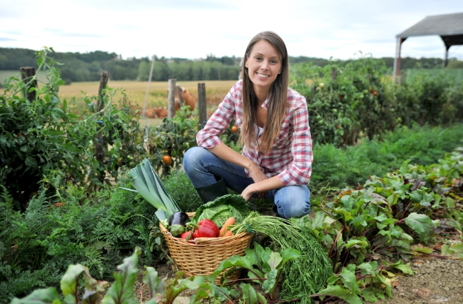organic gardening for beginners organic gardening for beginners
