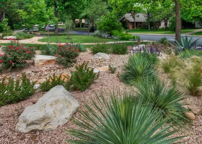 drought tolerant plants