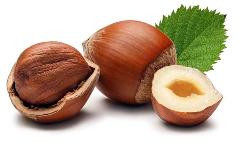 filbert nut uses filbert nut uses