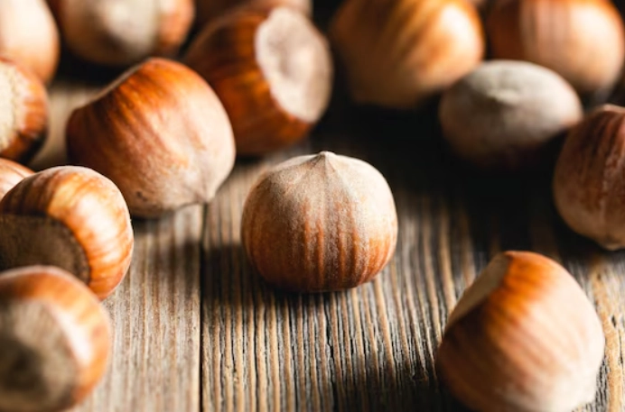 filbert vs hazelnut filbert vs hazelnut