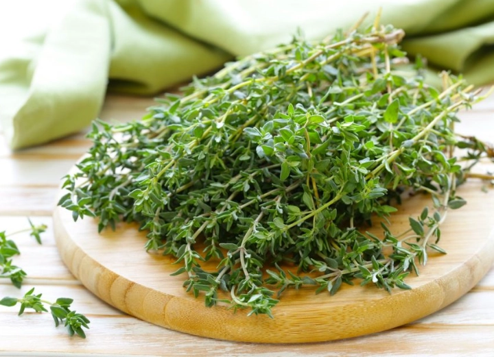 thyme varieties thyme varieties