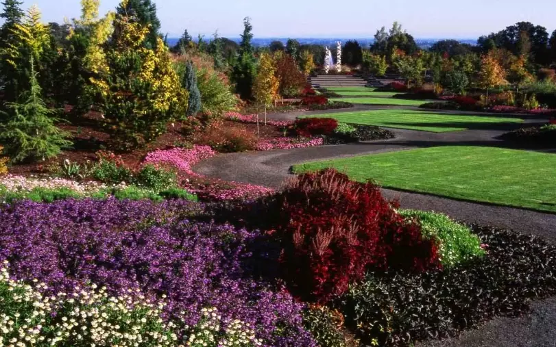 pnw native plants for sale