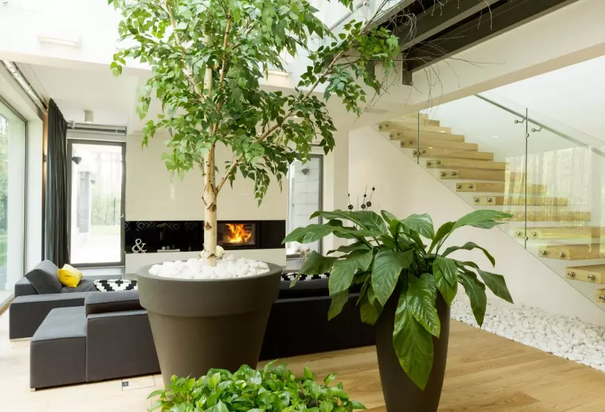 beginner indoor gardening beginner indoor gardening