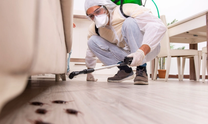 pest control services