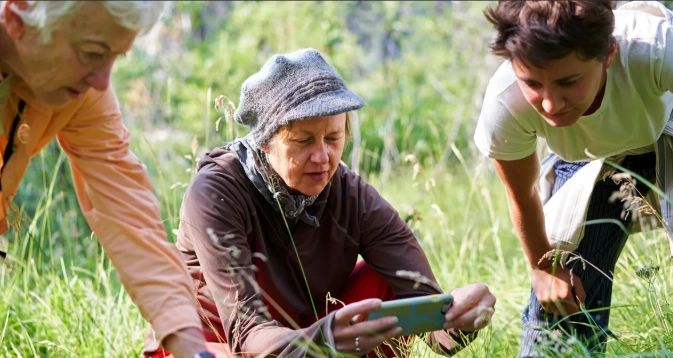 how to watch insects