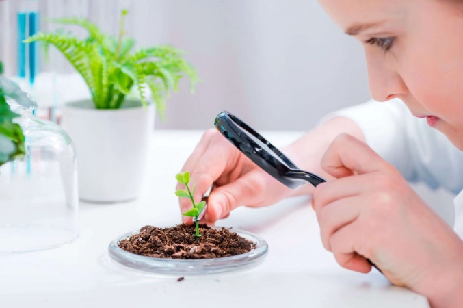 plant observation journal