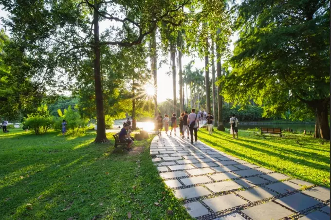 plant observation journal