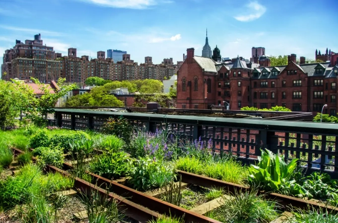 urban biodiversity conservation