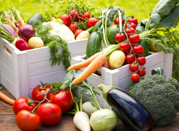 best vegetables to grow for beginners