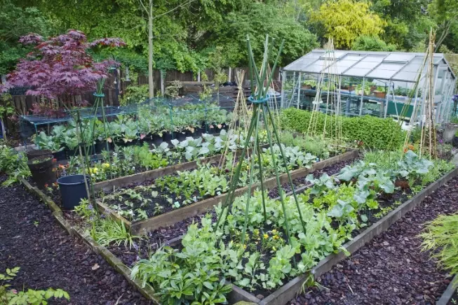 small vegetable garden ideas