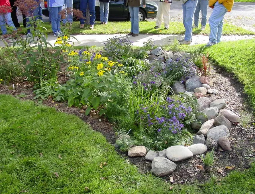 rain garden benefits