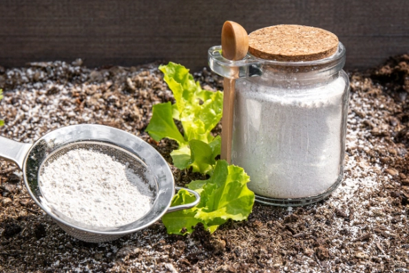 how to use diatomaceous earth how to use diatomaceous earth