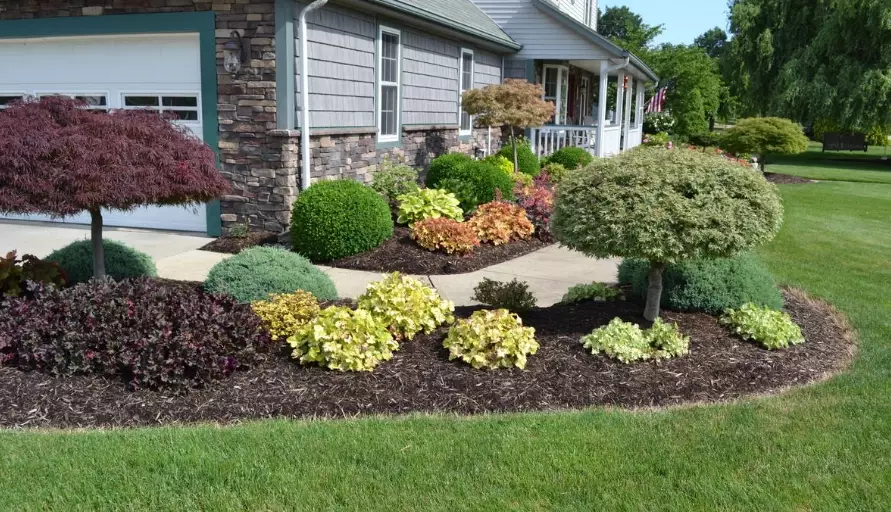 backyard landscaping