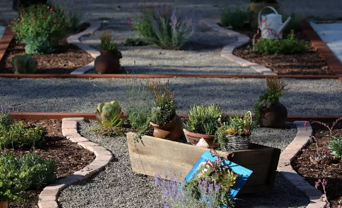 how to use gibberellin