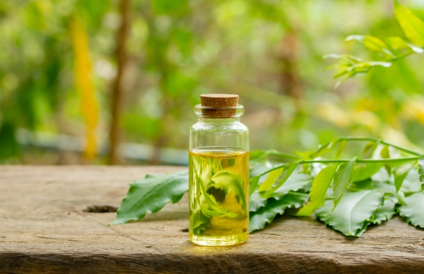 how to use neem oil on plants how to use neem oil on plants