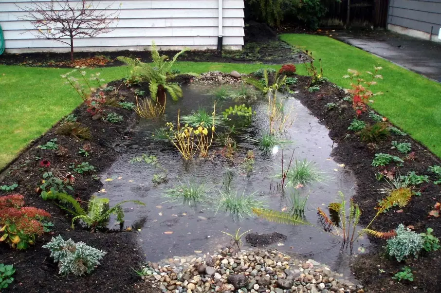 how to build a rain garden
