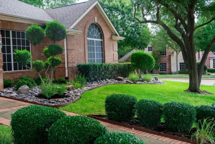 backyard landscaping