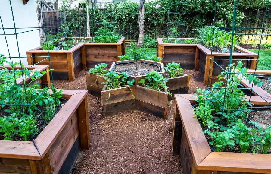 how to build a raised garden bed