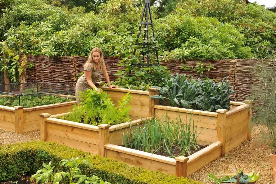 how to build a raised garden bed