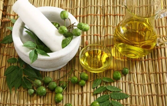 neem oil spray for plants neem oil spray for plants