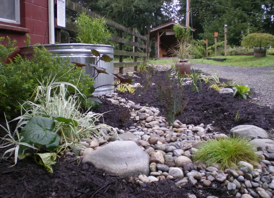 how to build a rain garden