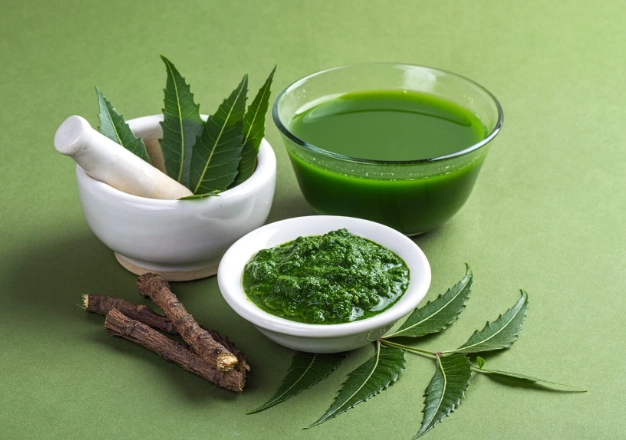 organic pest control for plants organic pest control for plants