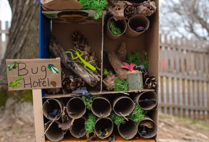 how to build a bug hotel