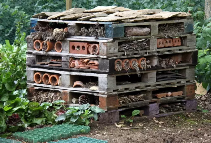 insect hotel materials