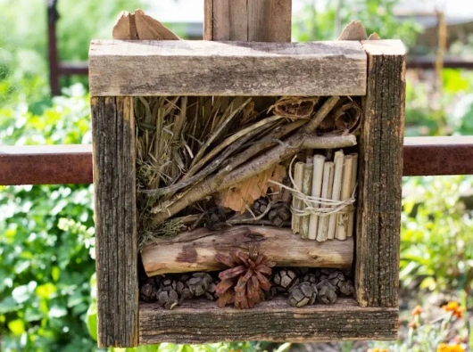 diy insect hotel