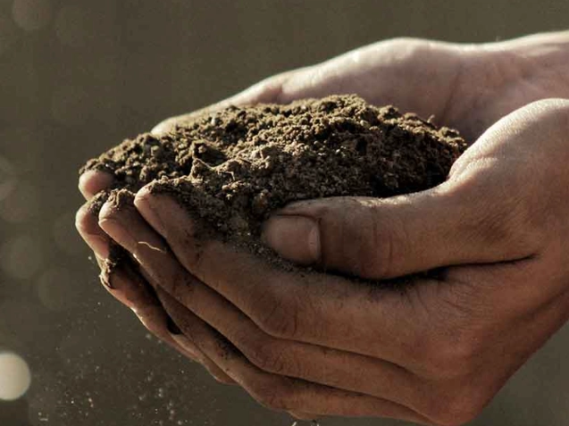 underground ecosystems