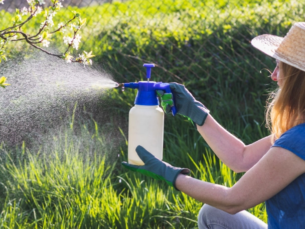 plant disease prevention