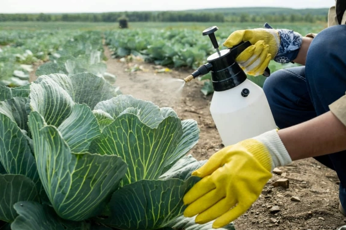 plant disease prevention