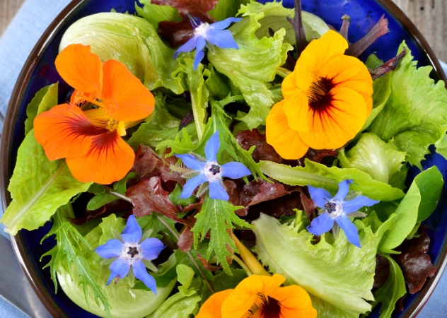 edible flowers