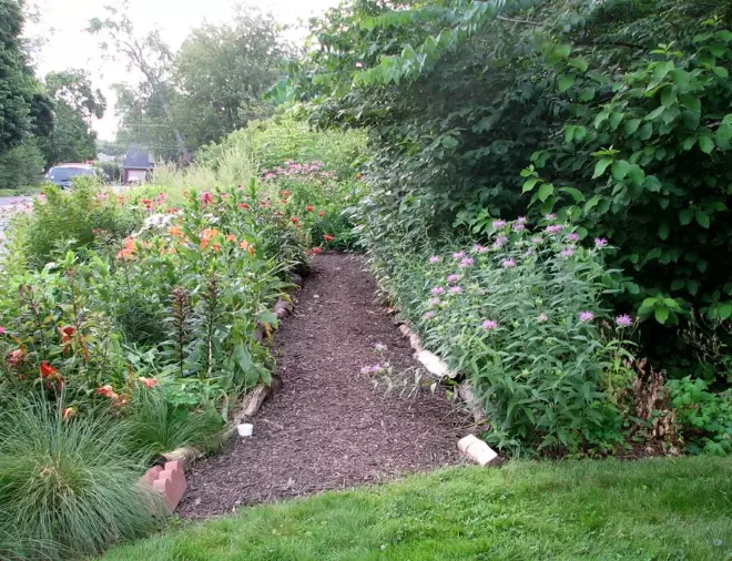 creating a habitat garden