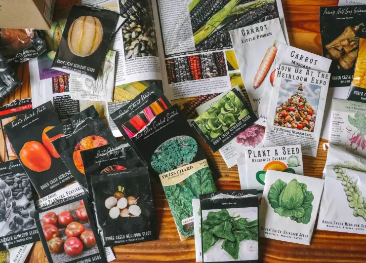 best heirloom tomato seeds