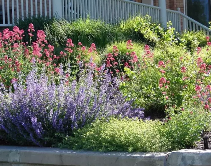 water wise gardening water wise gardening