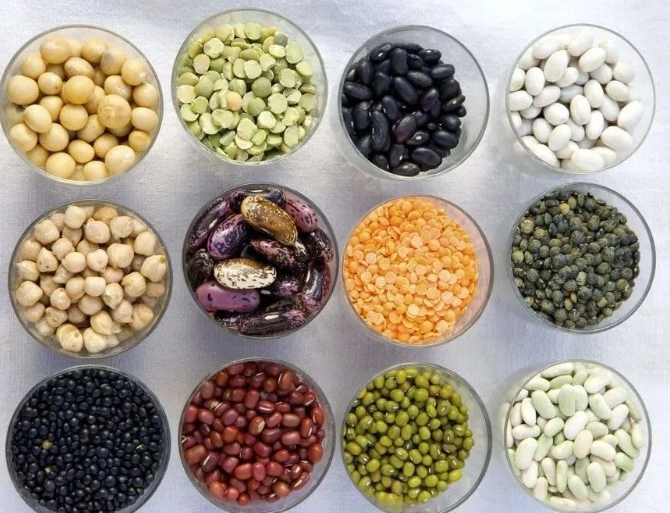 how to save heirloom seeds