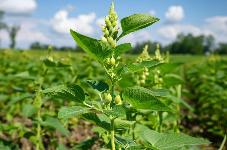 plants and global warming