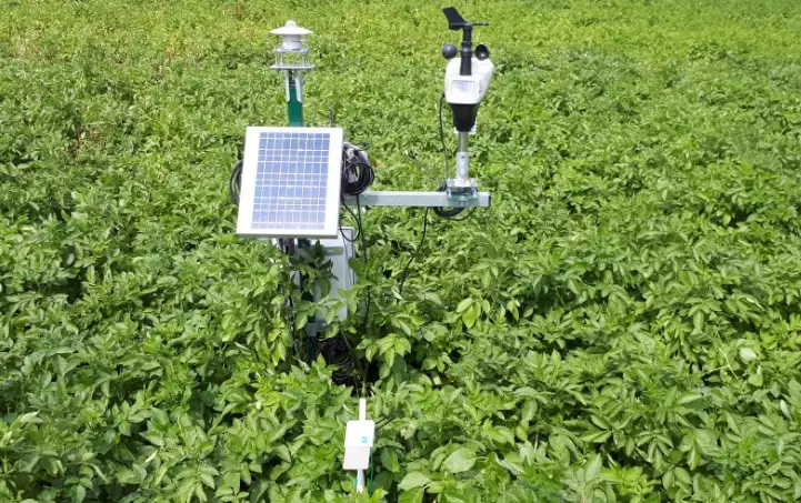 IPM strategies IPM strategies