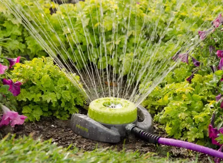 water conservation gardening