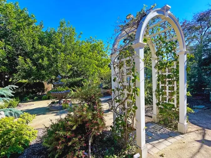 drought tolerant plants drought tolerant plants