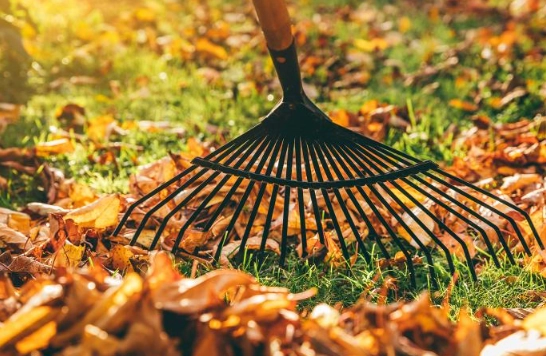 autumn garden maintenance autumn garden maintenance