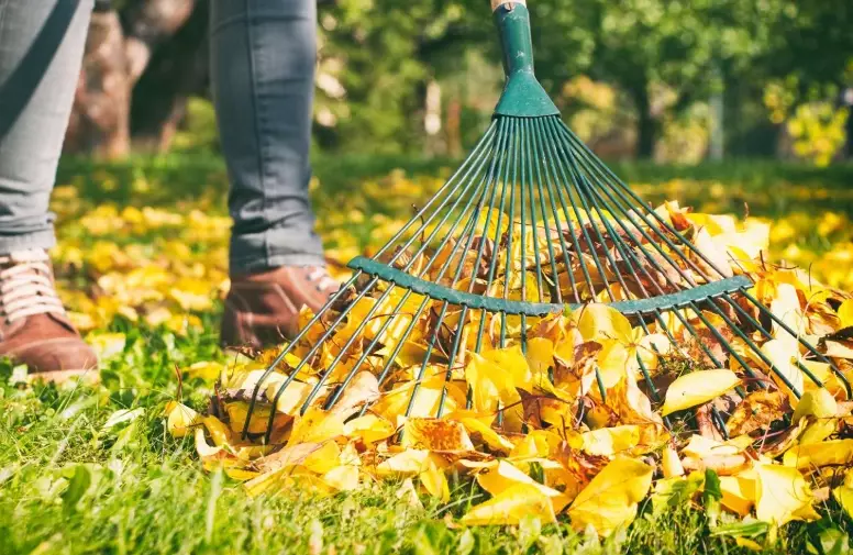 autumn garden maintenance autumn garden maintenance