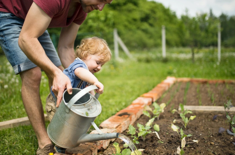 xeriscaping xeriscaping