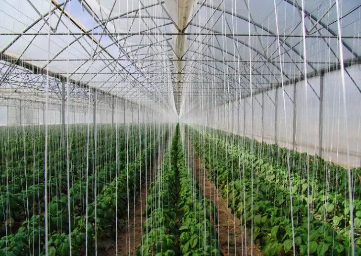 crop improvement crop improvement